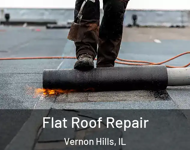  Flat Roof Repair Vernon Hills, IL