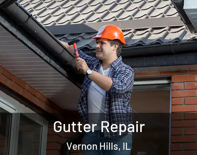  Gutter Repair Vernon Hills, IL