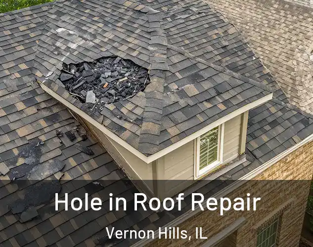  Hole in Roof Repair Vernon Hills, IL