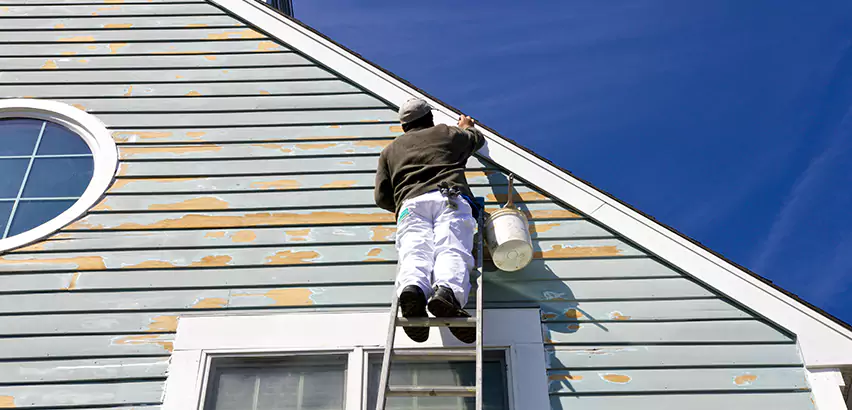Professional Roof and Siding Repair Services in Vernon Hills, IL