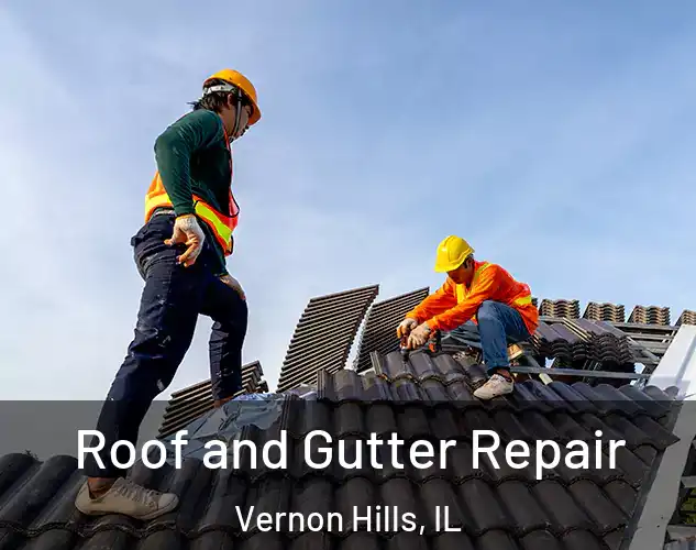  Roof and Gutter Repair Vernon Hills, IL