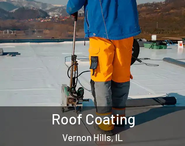  Roof Coating Vernon Hills, IL