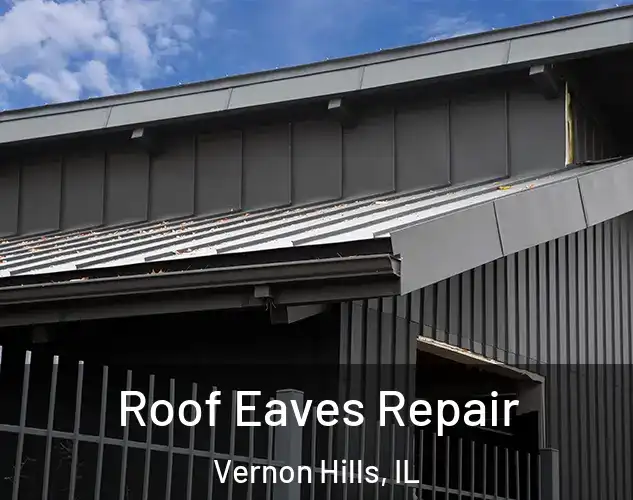  Roof Eaves Repair Vernon Hills, IL