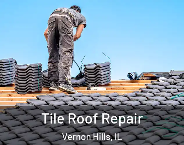  Tile Roof Repair Vernon Hills, IL