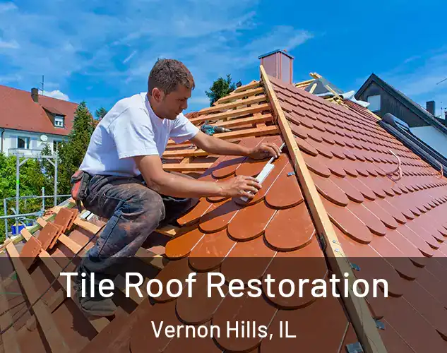  Tile Roof Restoration Vernon Hills, IL